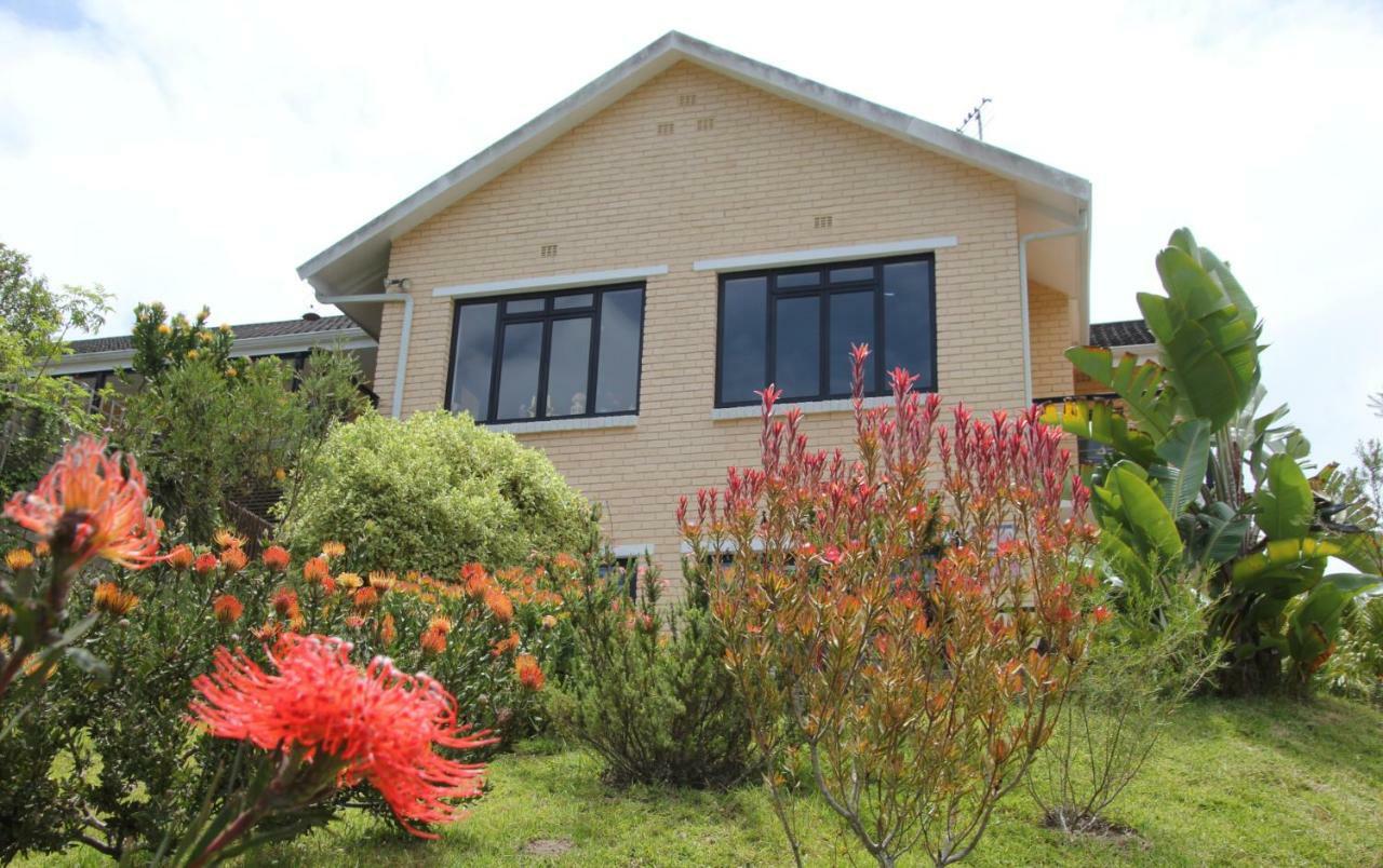 Garden Cottage In Ambiente Guest House Knysna Dış mekan fotoğraf