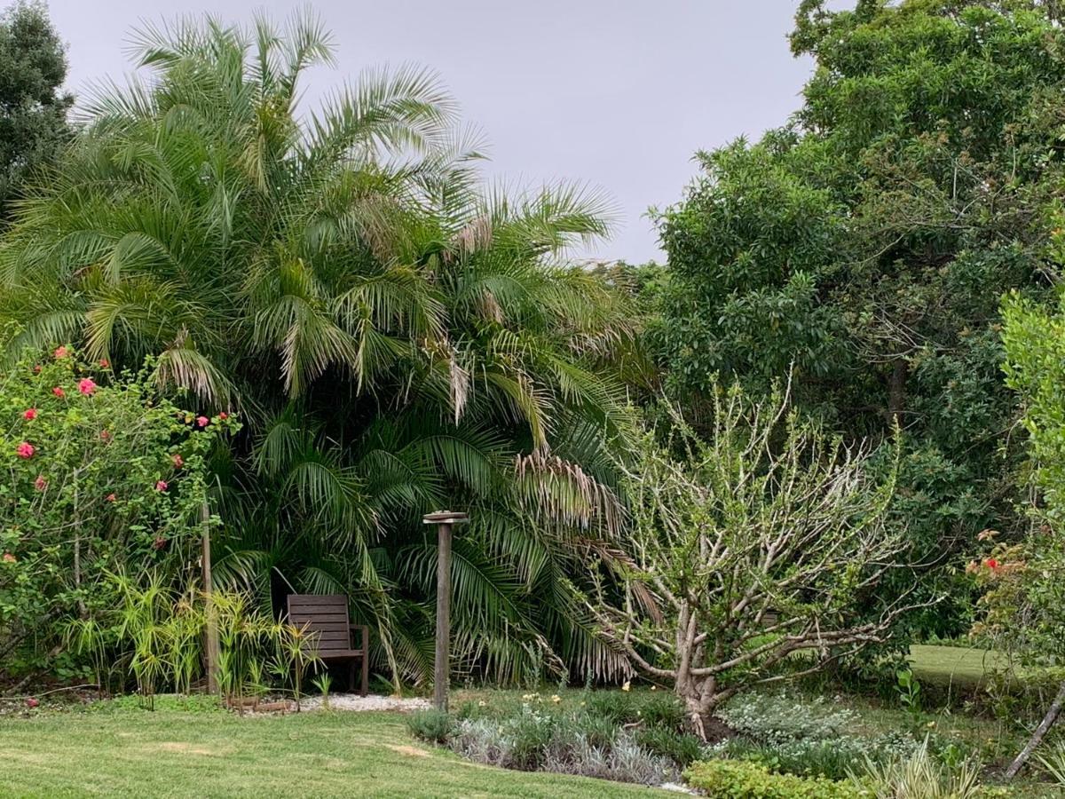 Garden Cottage In Ambiente Guest House Knysna Dış mekan fotoğraf